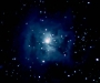 4photo_White_NGC7023_582x485