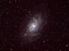 M33 (Medium)