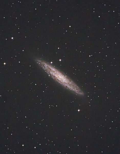 NGC-253