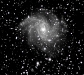 2photo_White_NGC6946-mono_393x349
