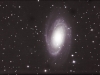 M81